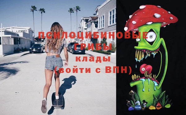сатива Армянск